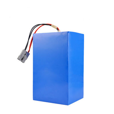 Proteção de carga/descarga de equilíbrio 48V 50Ah E Bike Battery Pack para uso ideal